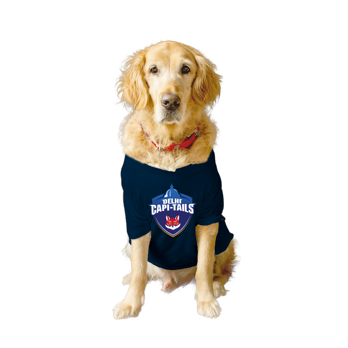 Delhi Capi-Tails' Customizable Crew Neck T-shirt Dog Jersey