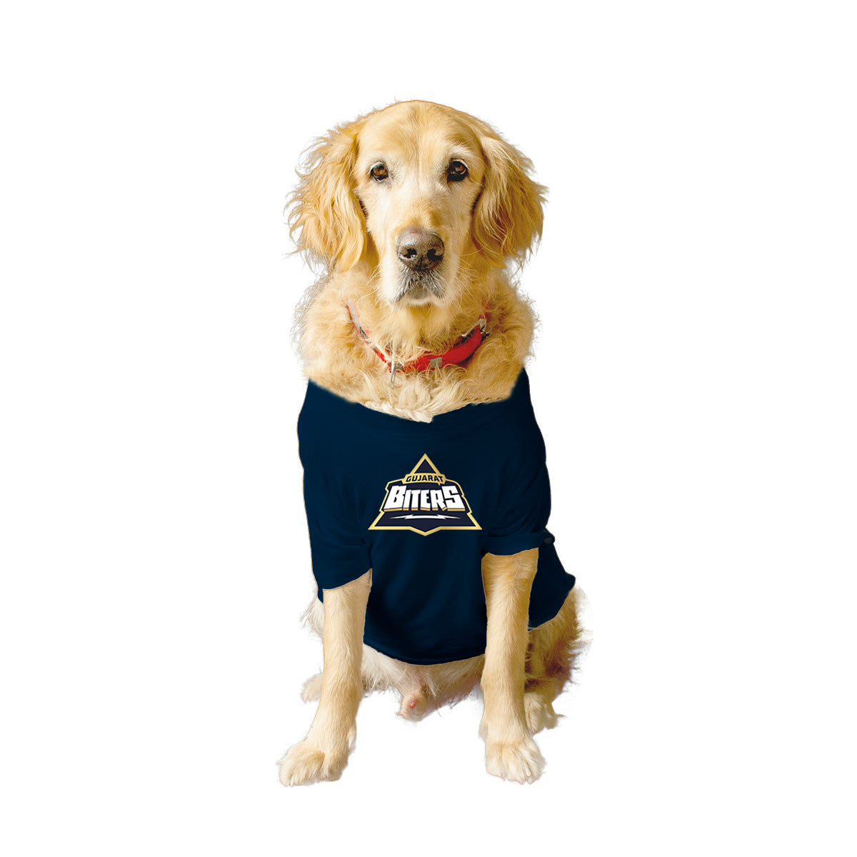 Gujarat Biters' Customizable Crew Neck T-shirt Dog Jersey