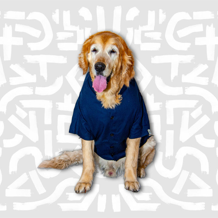 Midnight Blue Mandarin Collar Dog Shirt | SoftTech Fabric