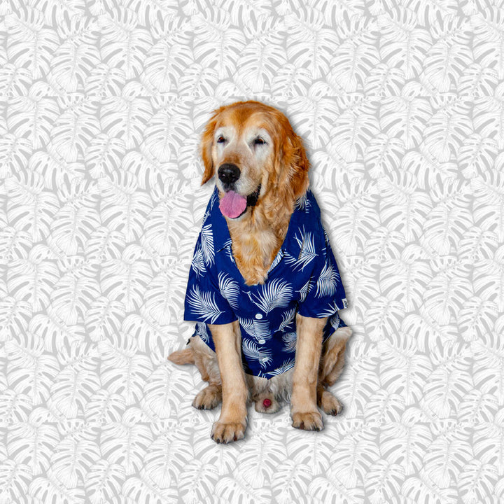 Tropical Tails Dog Shirt (Blue) | SoftTech Fabric