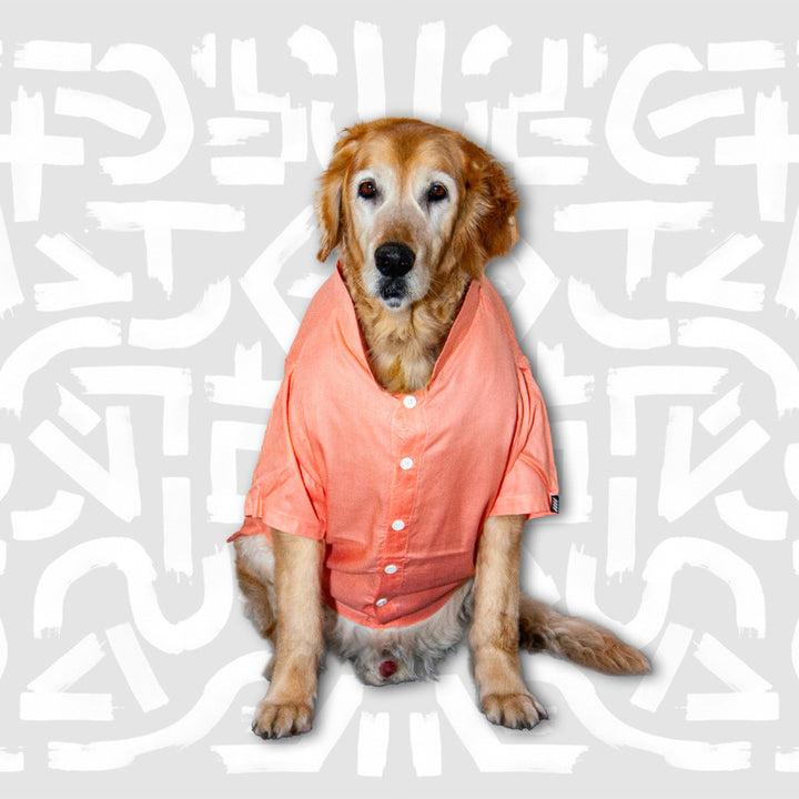 Peach Mandarin Collar Dog Shirt | SoftTech Fabric