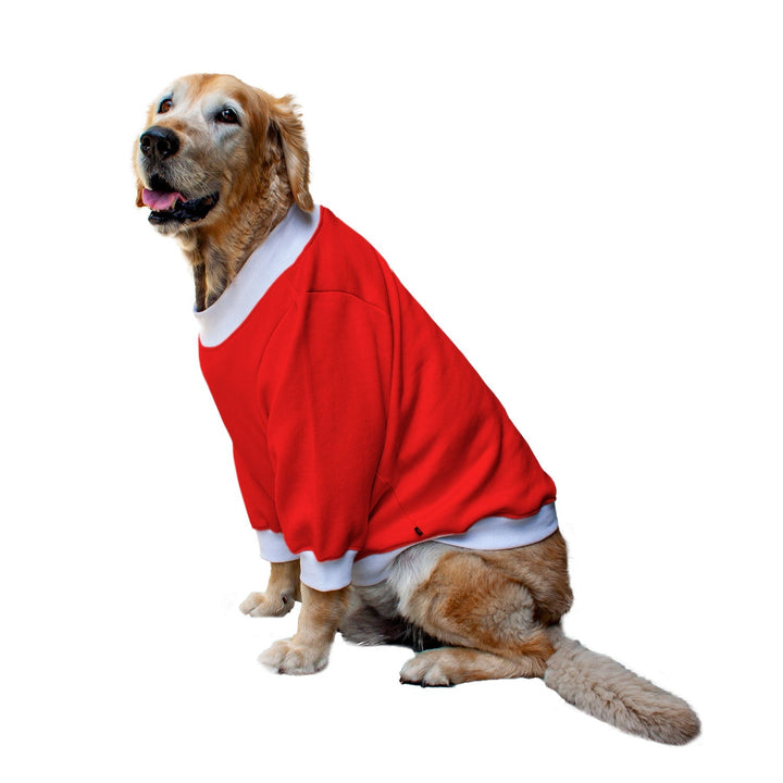 Ruse 'Basics' "Tricks For Treats" Printed Crew Neck Full Sleeve Sweatshirt For Dogs