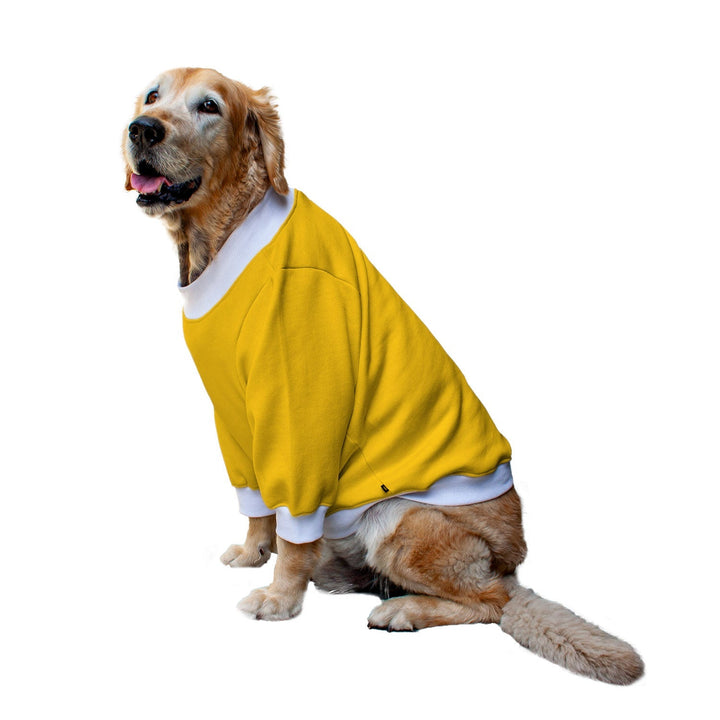 Ruse 'Basics' "Doge" Printed Crew Neck Full Sleeve Sweatshirt For Dogs