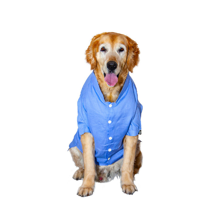 Day Light Blue Mandarin Collar Dog Shirt | SoftTech Fabric