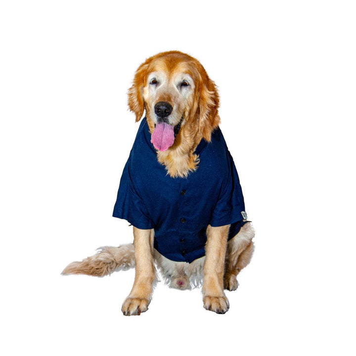 Midnight Blue Mandarin Collar Dog Shirt | SoftTech Fabric