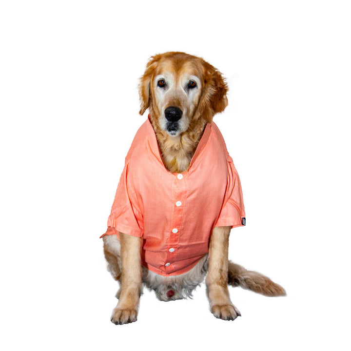 Peach Mandarin Collar Dog Shirt | SoftTech Fabric