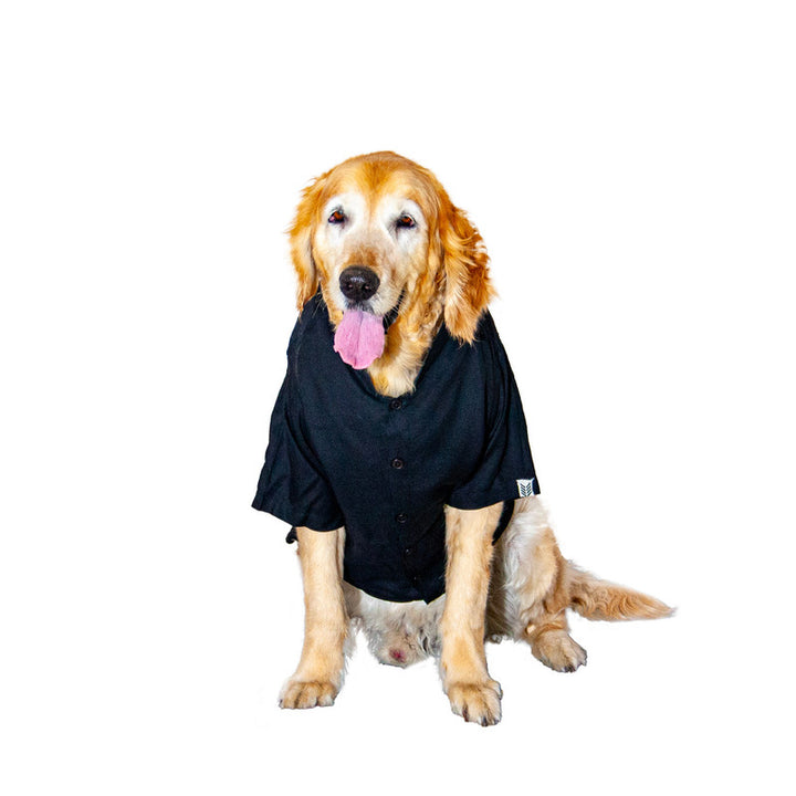 Black Mandarin Collar Dog Shirt | SoftTech Fabric