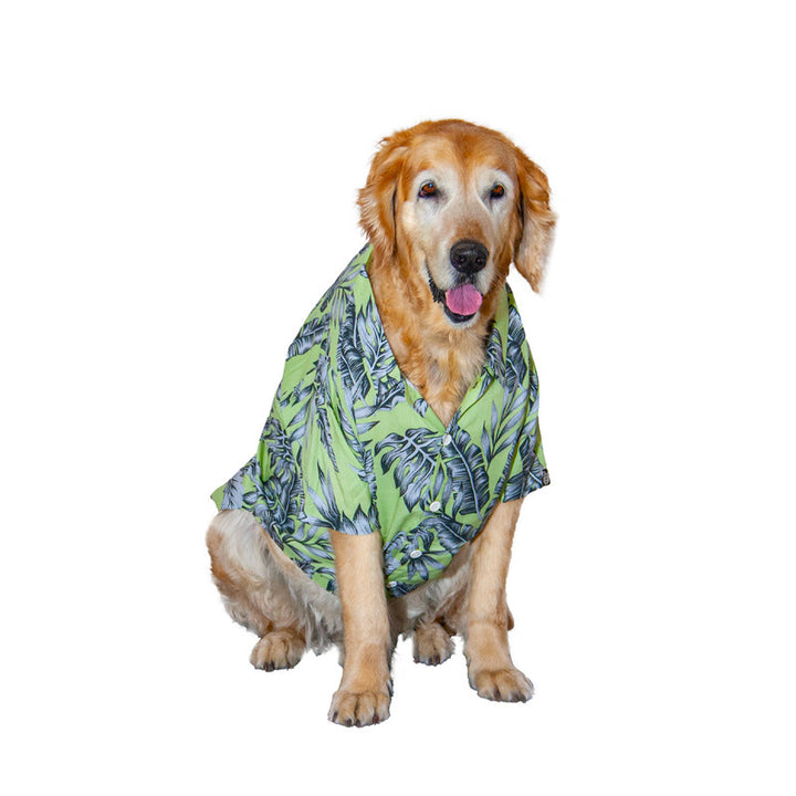 Monstera Mischief Dog Shirt | SoftTech Fabric