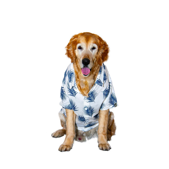 Tropical Tails Dog Shirt (White) | SoftTech Fabric