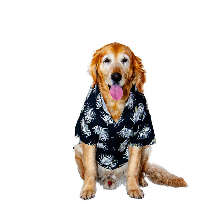 Tropical Tails Dog Shirt (Black) | SoftTech Fabric