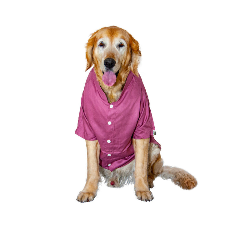 Magenta Mandarin Collar Dog Shirt | SoftTech Fabric