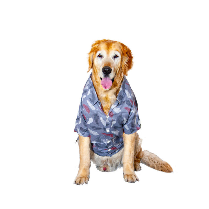 Leafy Affair Dog Shirt (Grey) | SoftTech Fabric