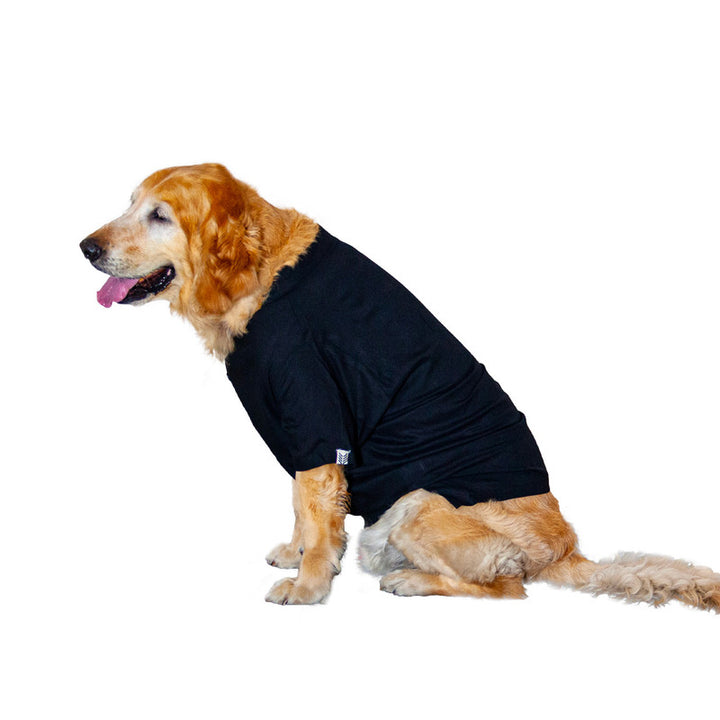 Black Mandarin Collar Dog Shirt | SoftTech Fabric