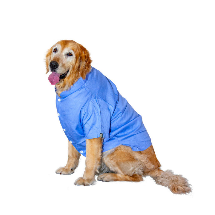 Day Light Blue Mandarin Collar Dog Shirt | SoftTech Fabric