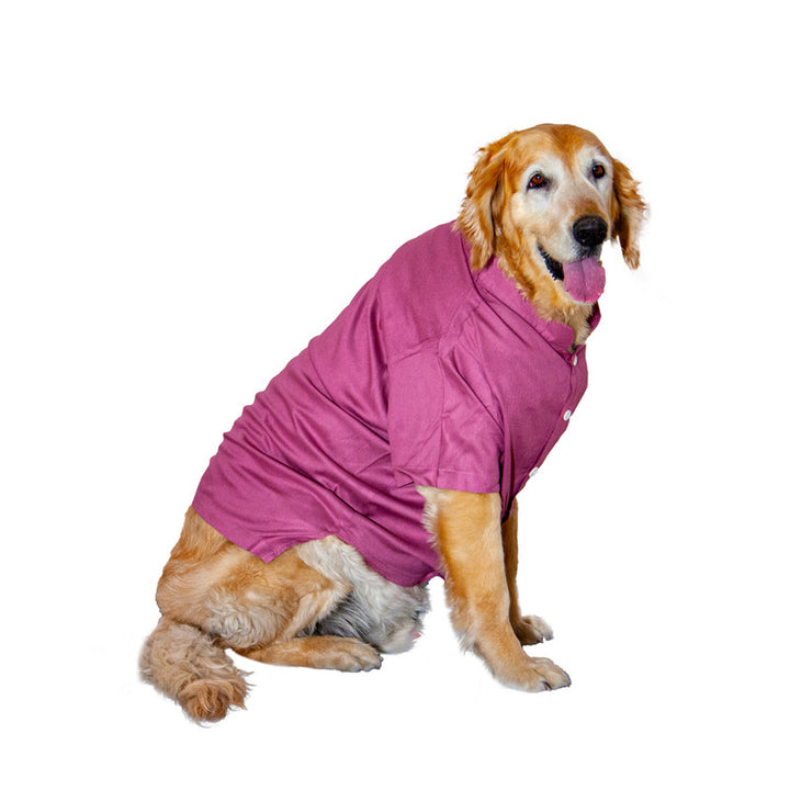 Magenta Mandarin Collar Dog Shirt | SoftTech Fabric