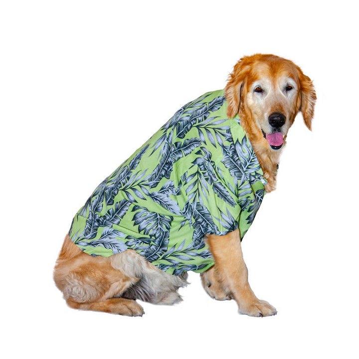 Monstera Mischief Dog Shirt | SoftTech Fabric