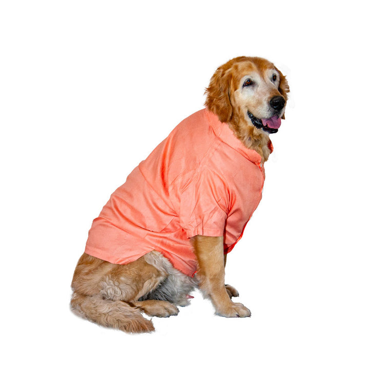 Peach Mandarin Collar Dog Shirt | SoftTech Fabric