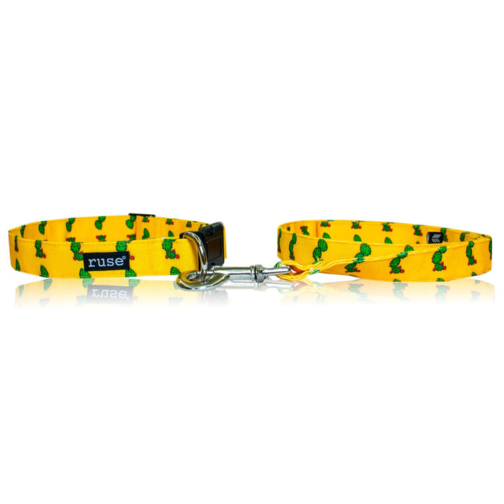 All-over printed Military Grade Canvas Dog Neck Collar and Leash