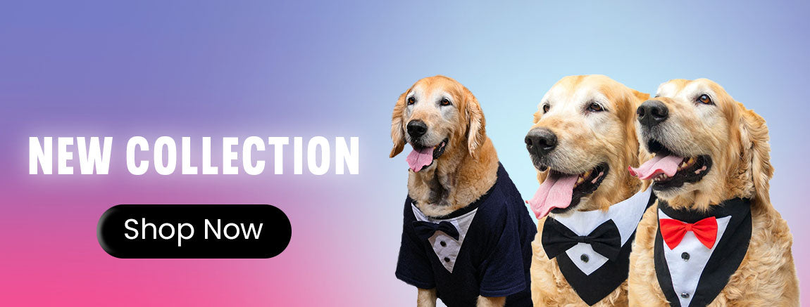 Buy Ruse Pets Wiggly Butt Printed Lavender Cotton Dog Round Neck Sleeveless  Vest Tank T-Shirt - XXS Online at Best Prices in India - JioMart.
