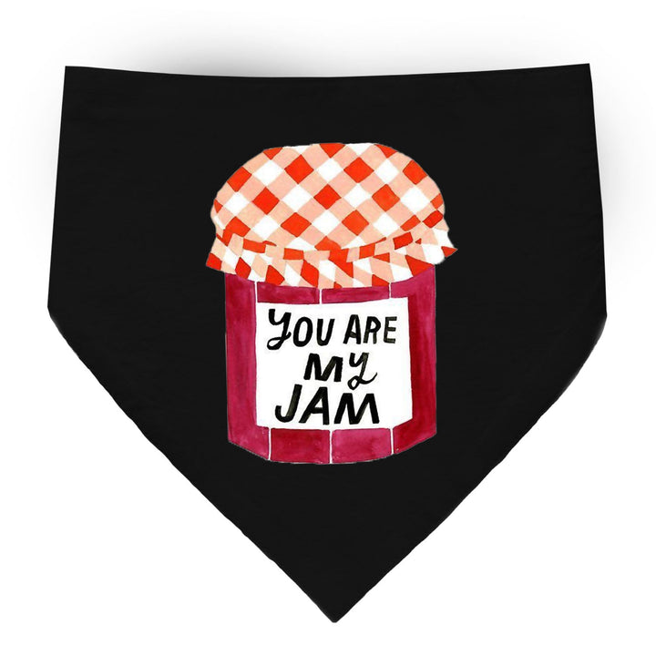 "You Are My Jam" Printed Dog Bandana with Anti Chafing Elastic