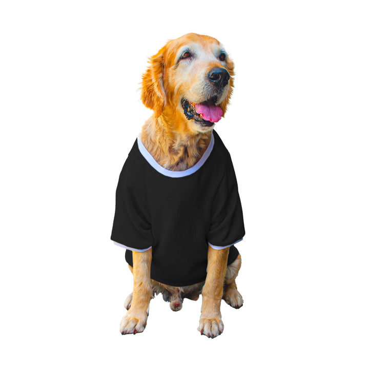 Ruse 'Basics' "Will Work For Chicken Wings" Printed Crew Neck Full Sleeve Expedition Sweatshirt For Dogs