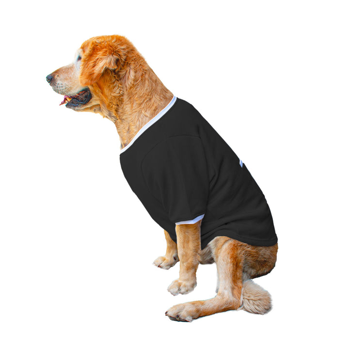 Ruse 'Basics' "It's Leg Day!" Printed Crew Neck Full Sleeve Expedition Sweatshirt For Dogs