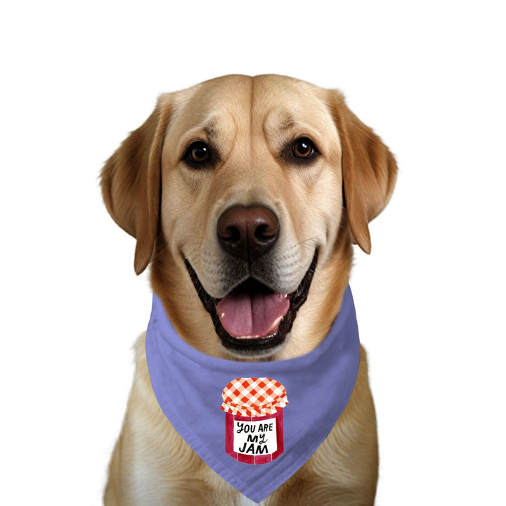 "You Are My Jam" Printed Dog Bandana with Anti Chafing Elastic