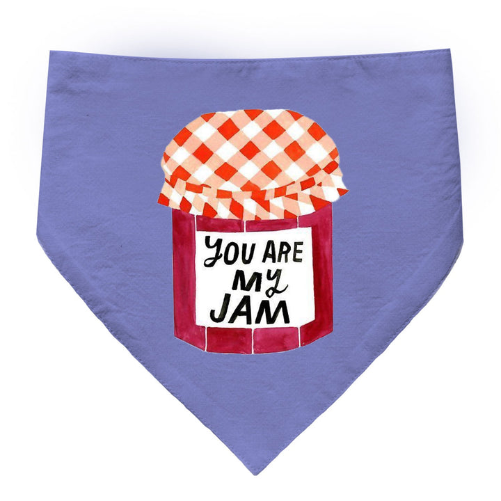 "You Are My Jam" Printed Dog Bandana with Anti Chafing Elastic