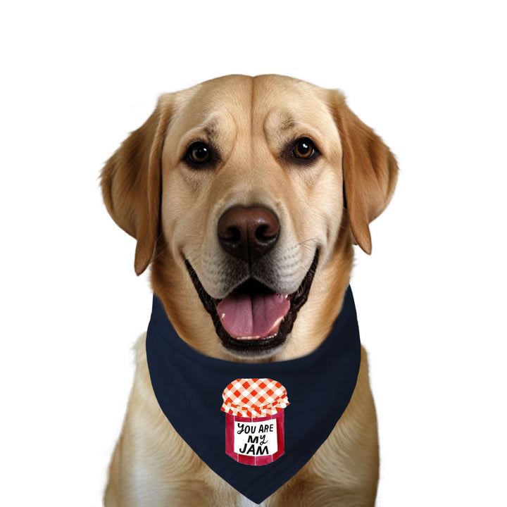 "You Are My Jam" Printed Dog Bandana with Anti Chafing Elastic