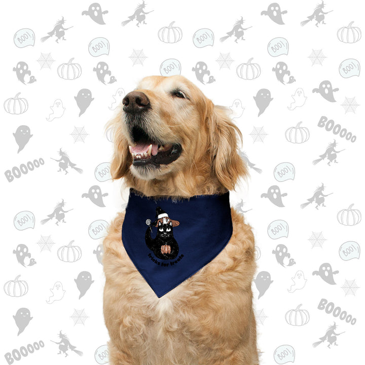 "Tricks For Treats" Printed with Allover Pint Reversible Bandana for Dogs