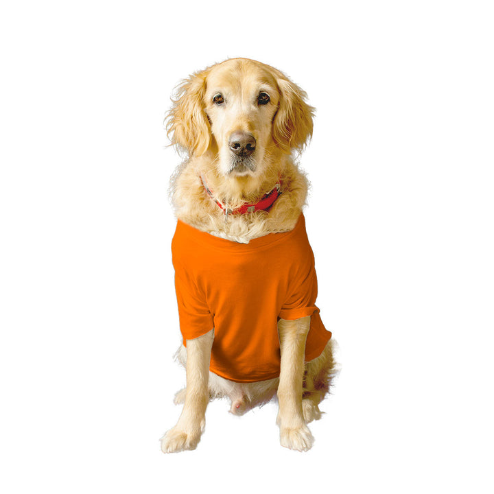 Ruse Basic Crew Neck "Spooky Season" Printed Half Sleeves Dog Tee