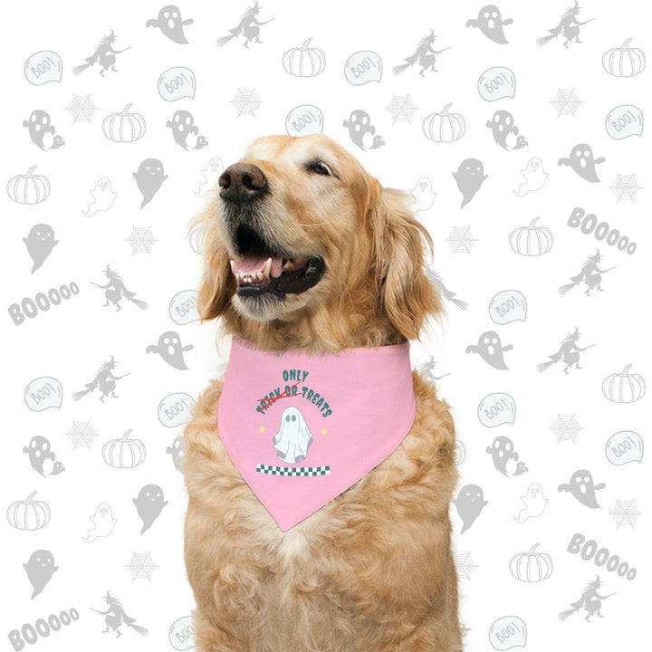 "Only Treats" Printed with Allover Pint Reversible Bandana for Dogs