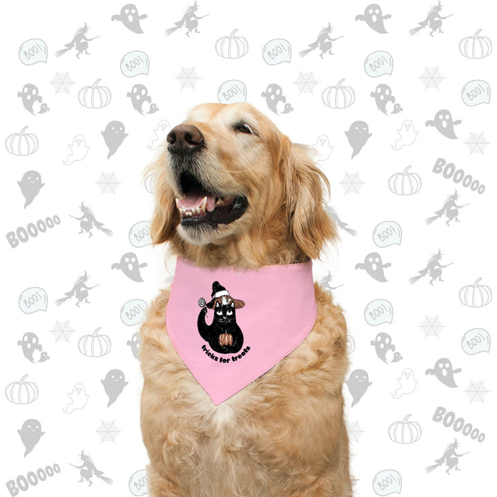 "Tricks For Treats" Printed with Allover Pint Reversible Bandana for Dogs