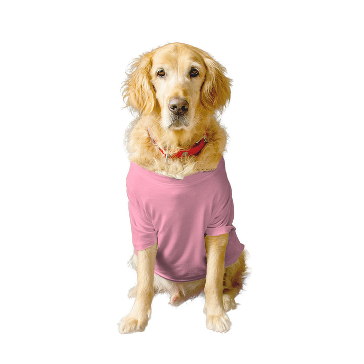 Ruse Basic Crew Neck "Tricks For Treats" Printed Half Sleeves Dog Tee