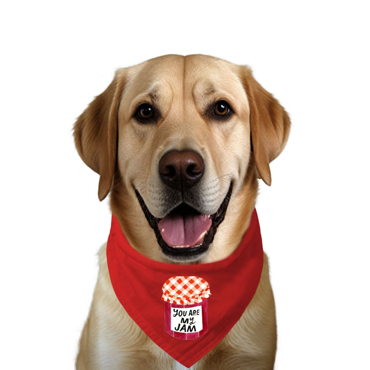 "You Are My Jam" Printed Dog Bandana with Anti Chafing Elastic