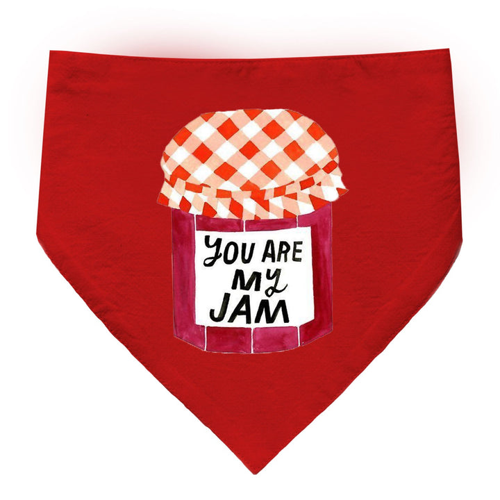 "You Are My Jam" Printed Dog Bandana with Anti Chafing Elastic