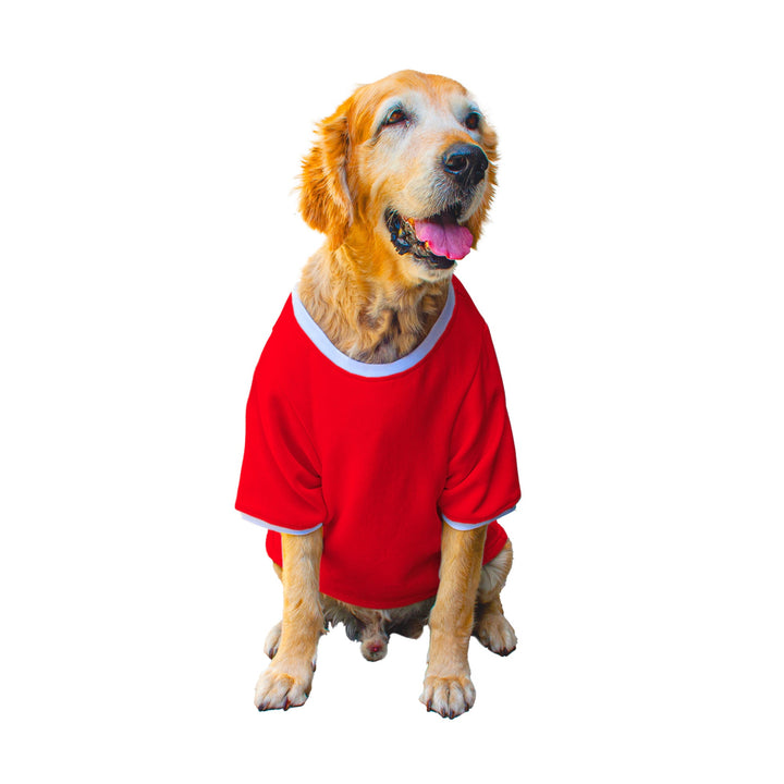 Ruse 'Basics' "Too Magical" Printed Crew Neck Full Sleeve Expedition Sweatshirt For Dogs