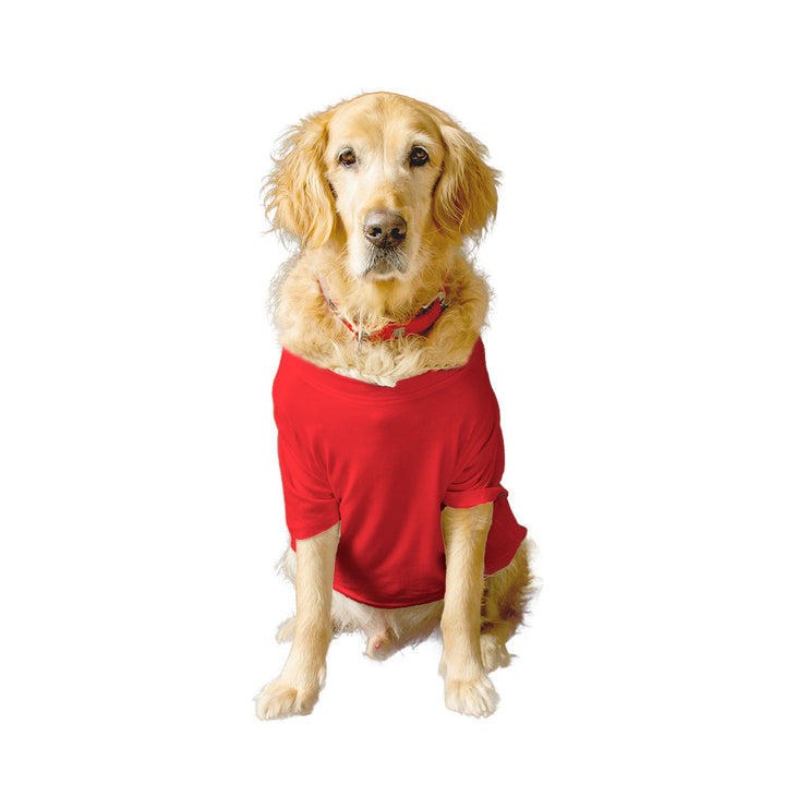 Ruse Basic Crew Neck "Only Treats" Printed Half Sleeves Dog Tee