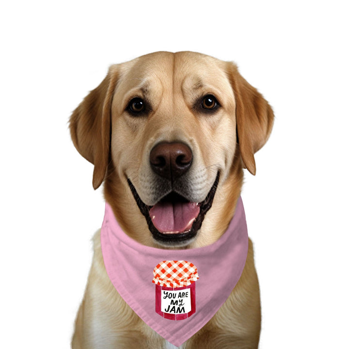 "You Are My Jam" Printed Dog Bandana with Anti Chafing Elastic