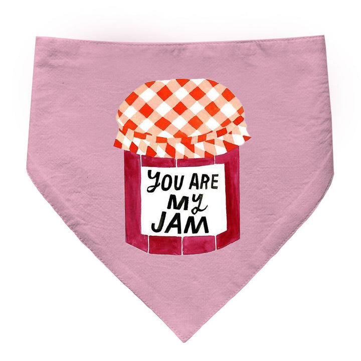 "You Are My Jam" Printed Dog Bandana with Anti Chafing Elastic