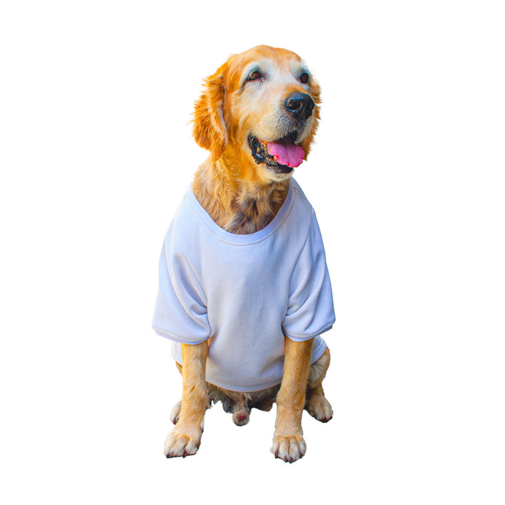 Ruse 'Basics' "I speak French (Fries)" Printed Crew Neck Full Sleeve Expedition Sweatshirt For Dogs