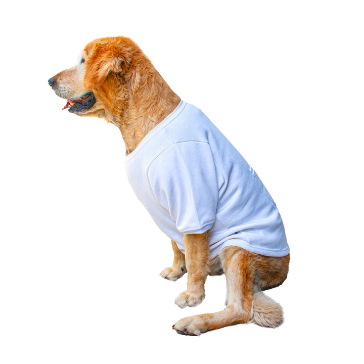 Ruse 'Basics' "Too Magical" Printed Crew Neck Full Sleeve Expedition Sweatshirt For Dogs