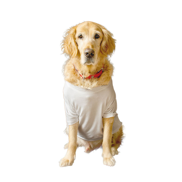 Ruse Basic Crew Neck "Will Do Tricks For Treats" Printed Half Sleeves Dog Tee