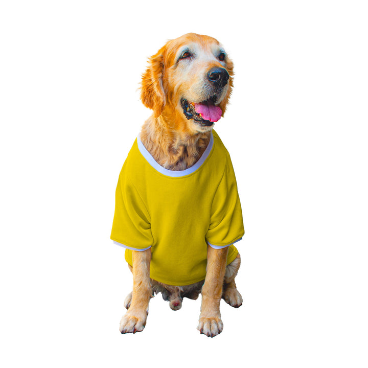 Ruse 'Basics' "Will Work For Chicken Wings" Printed Crew Neck Full Sleeve Expedition Sweatshirt For Dogs