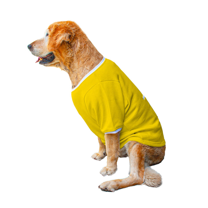 Ruse 'Basics' "Too Magical" Printed Crew Neck Full Sleeve Expedition Sweatshirt For Dogs