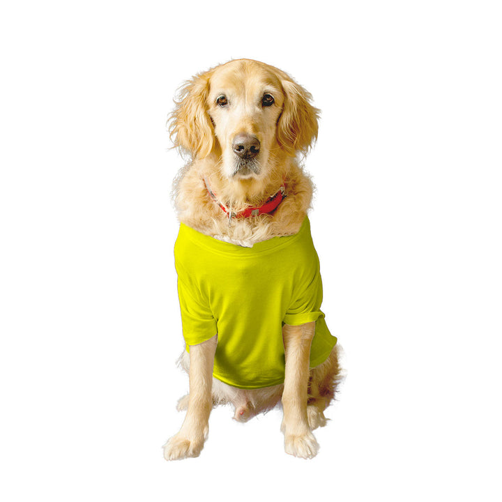 Ruse Basic Crew Neck "Halloween Boo!" Printed Half Sleeves Dog Tee