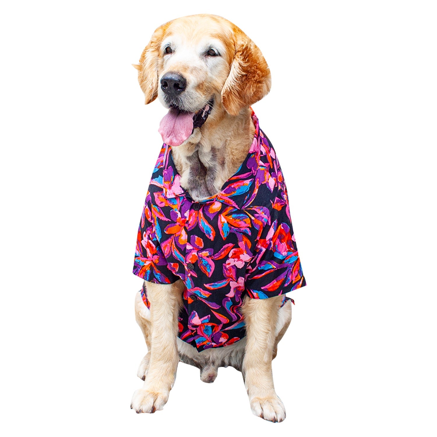 Floral Jungle Dog Shirt SoftTech Fabric Ruse Official