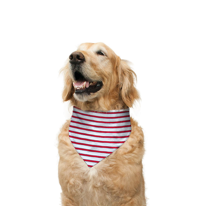 "ALL We Need" Printed Reversible Bandana for Dogs