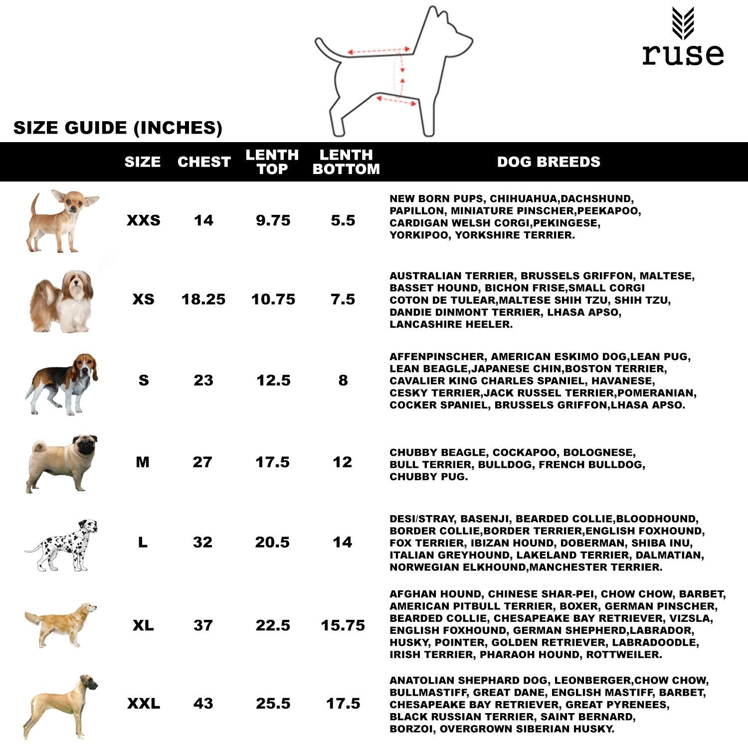 Champion sweater clearance size chart germany