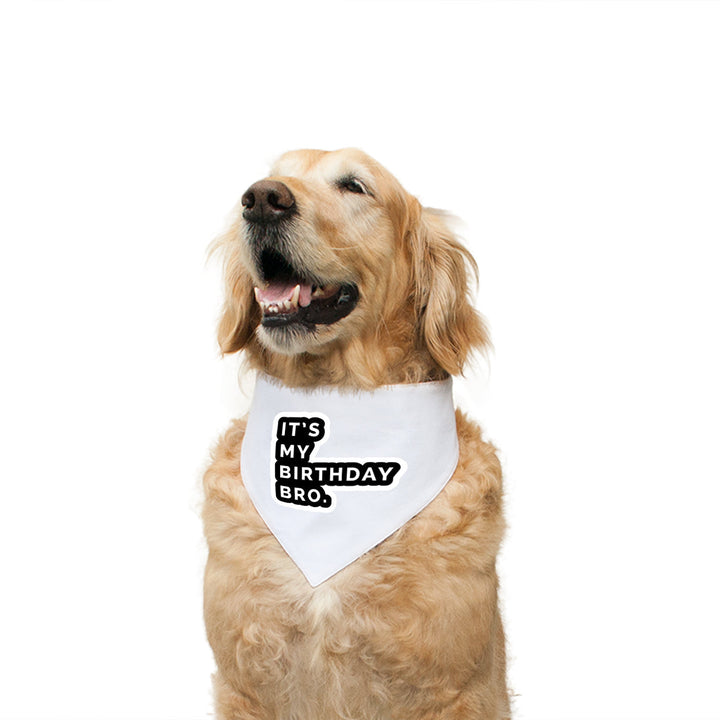 "It's My Birthday Bro" Printed Reversible Bandana for Dogs